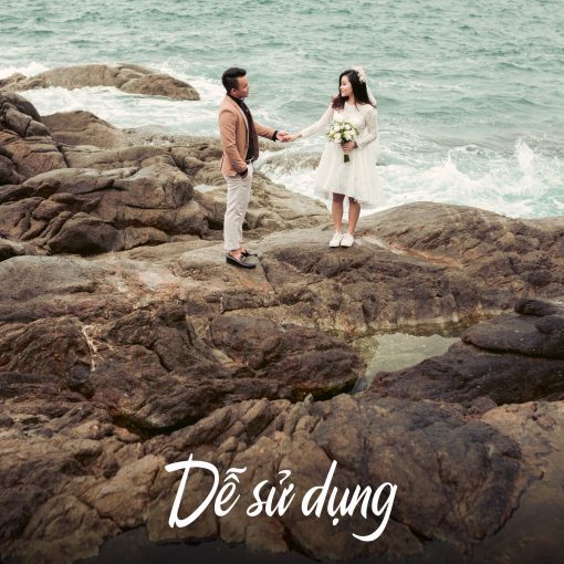 Pasted 19 Trang chủ