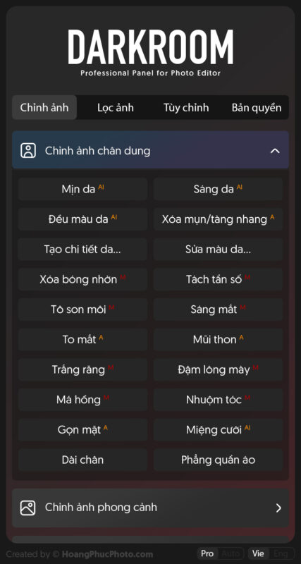 3 chinh anh chan dung panel DarkRoom - Chỉnh ảnh tự động với công nghệ A.I dành cho dân chuyên nghiệp