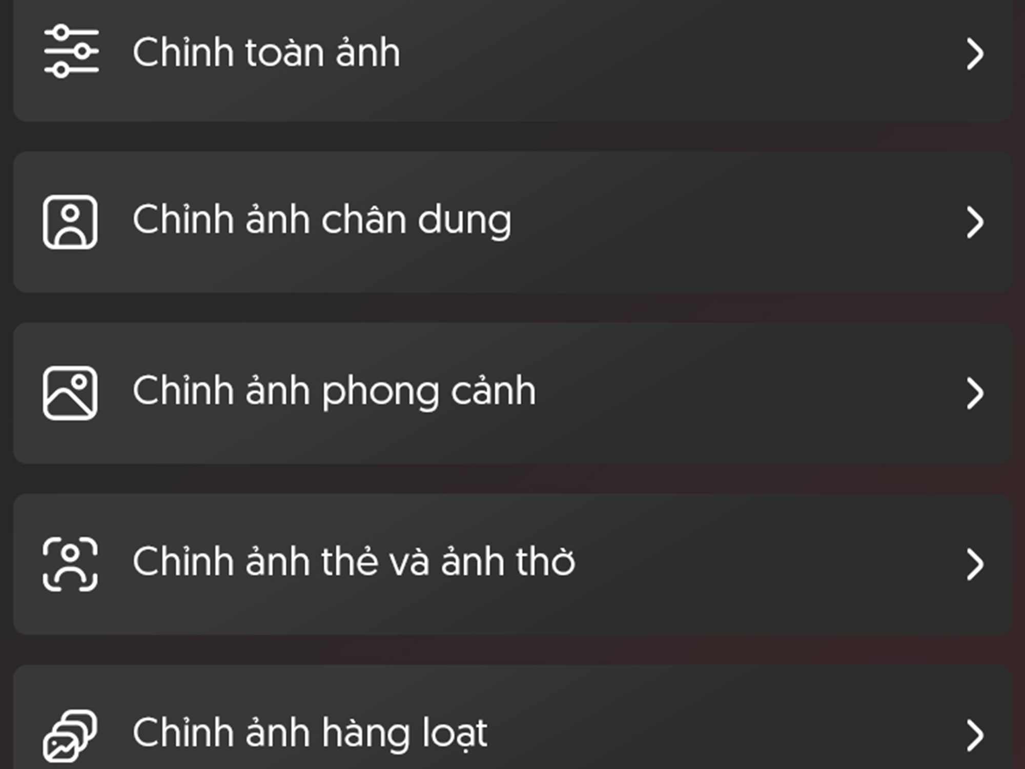 vbd panel DarkRoom - Chỉnh ảnh tự động với công nghệ A.I dành cho dân chuyên nghiệp