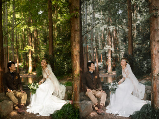 AT8Y1029STOCK TQ 12 2 Darkroom Profile - màu trong trẻo cho dạng ảnh cao cấp