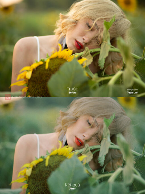 IMG 2721 Tuan Linh Stock Yen huong duong 2 Darkroom Profile - màu trong trẻo cho dạng ảnh cao cấp