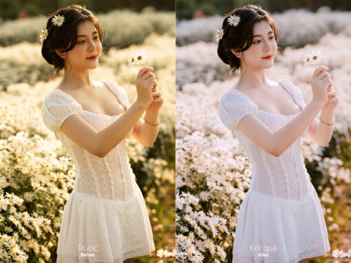 KKK 5037 stock cuc hoa mi ha kieu trang Kien Ka Ka 2 Darkroom Profile - màu trong trẻo cho dạng ảnh cao cấp