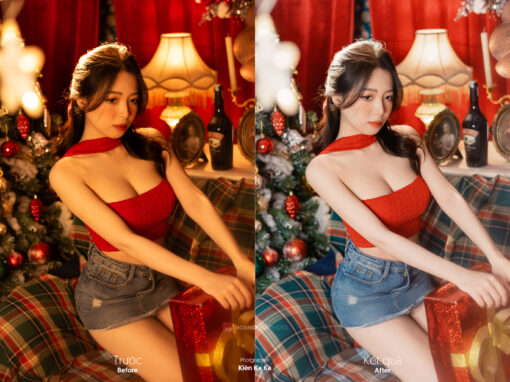 KKK 8130 stock trang giang sinh kien ka ka 2 Darkroom Profile - màu trong trẻo cho dạng ảnh cao cấp