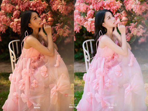 KKK 8545 stock nang tho hoa en hong Kien Ka Ka 2 Darkroom Profile - màu trong trẻo cho dạng ảnh cao cấp