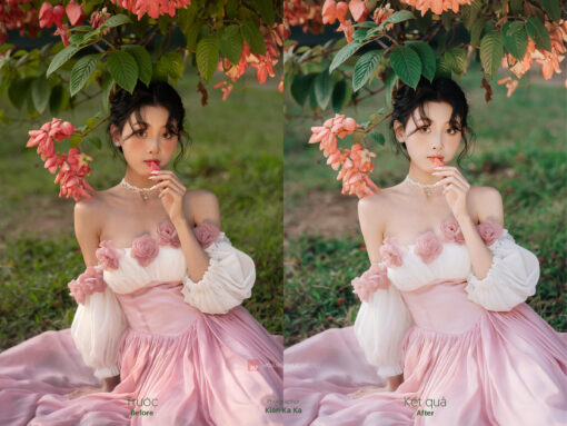 KKK 9113 stock nang tho hai duong Kien Ka Ka 2 Darkroom Profile - màu trong trẻo cho dạng ảnh cao cấp