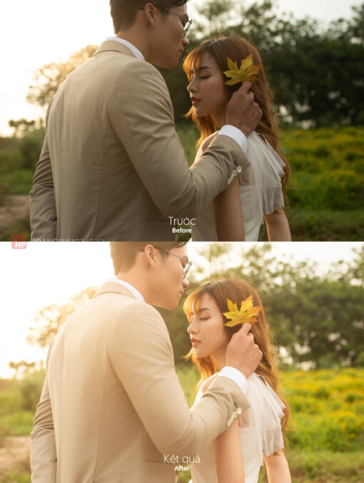 MAY 2882 stock 2 Darkroom Profile - màu trong trẻo cho dạng ảnh cao cấp