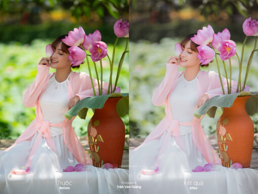 TVG 9517 Stock Tran Van Giang 2 Darkroom Profile - màu trong trẻo cho dạng ảnh cao cấp