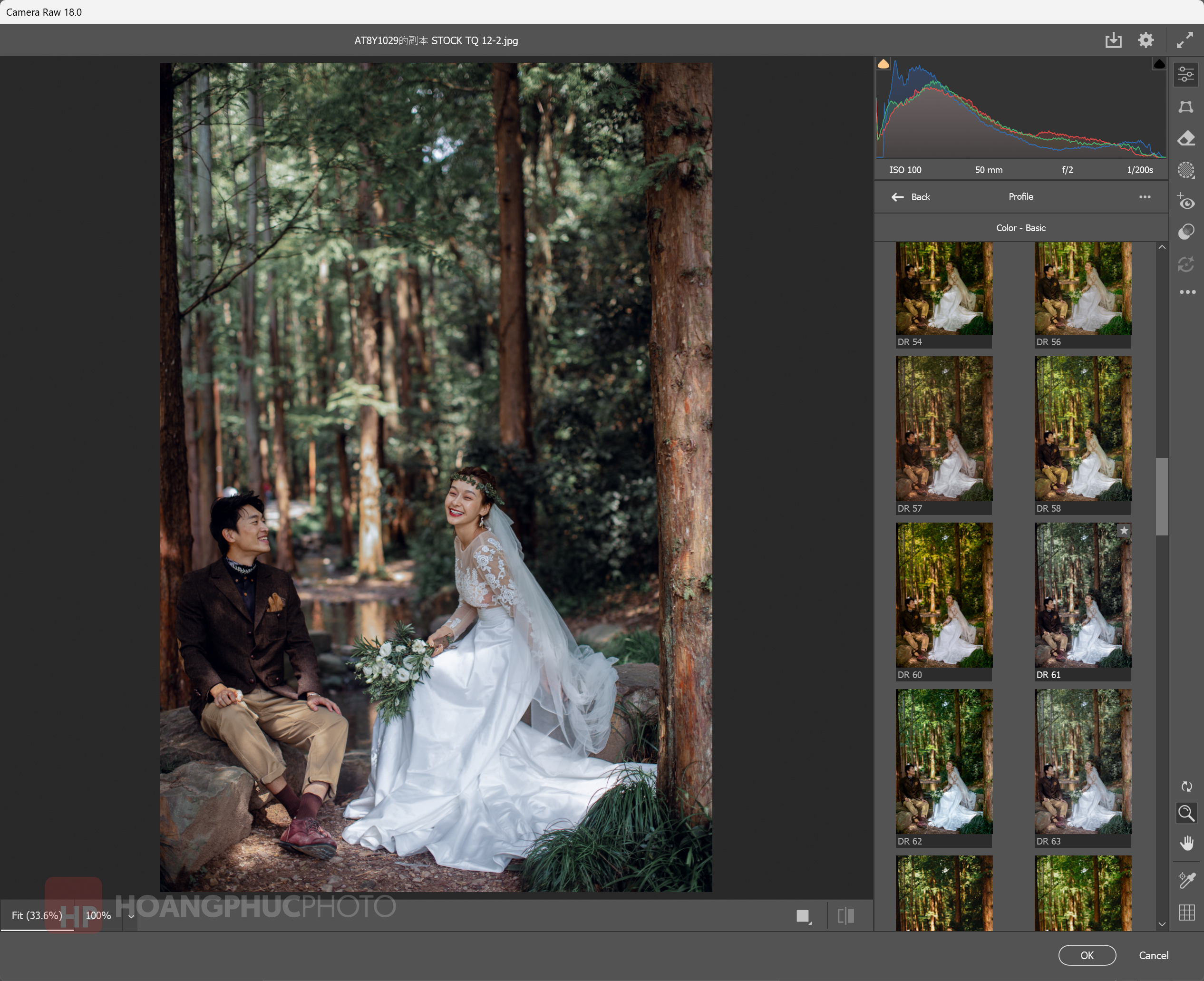 Untitled 1 Darkroom Profile - màu trong trẻo cho dạng ảnh cao cấp