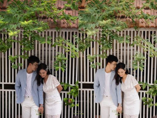 VVE 7537 stock Thach Tran 2 Darkroom Profile - màu trong trẻo cho dạng ảnh cao cấp